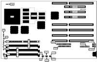 DIAMOND FLOWER, INC. &nbsp; THE LEOPARD