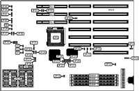 DIAMOND FLOWER, INC. &nbsp; G486-EVB (REV. A)